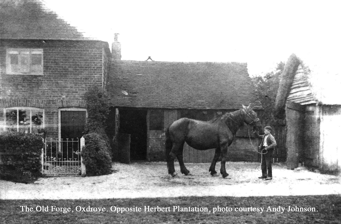 21A The Old Forge Oxdrove