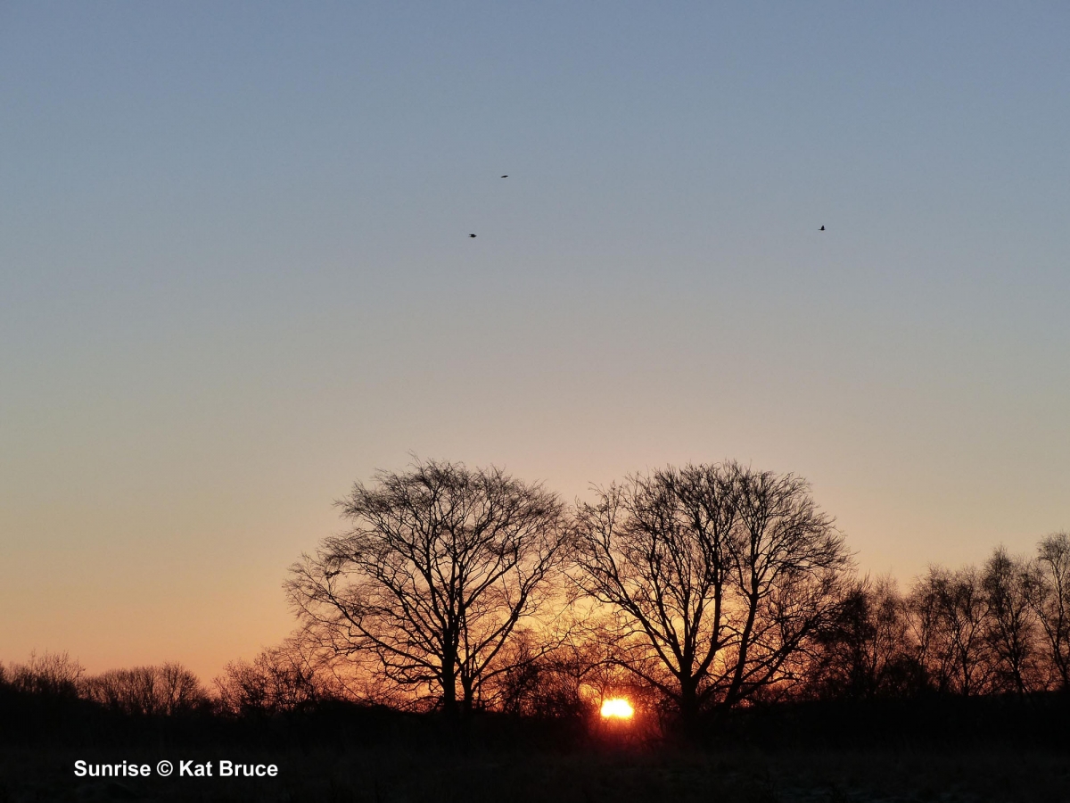 A102-Sunrise-Gallery-backdrop-KAB