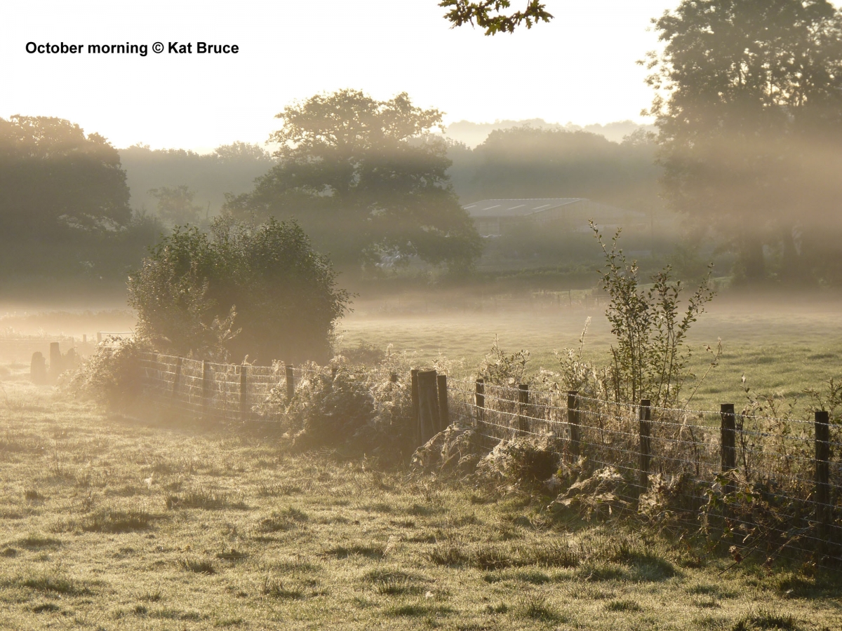 A104-Oct-morning