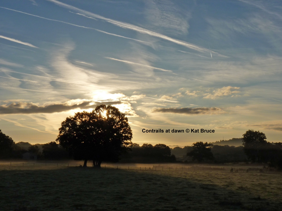 A105-Contrails-at-dawn