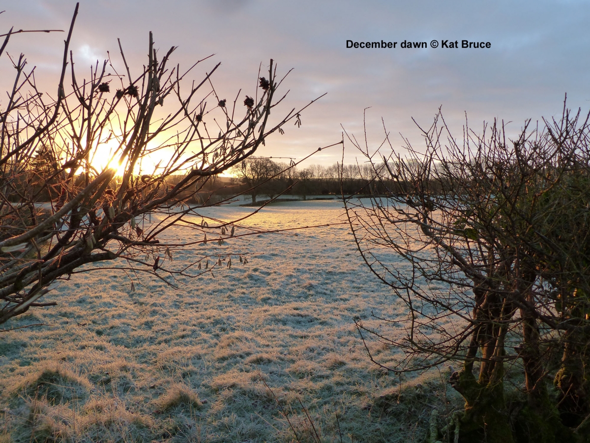 A106-Dec-dawn