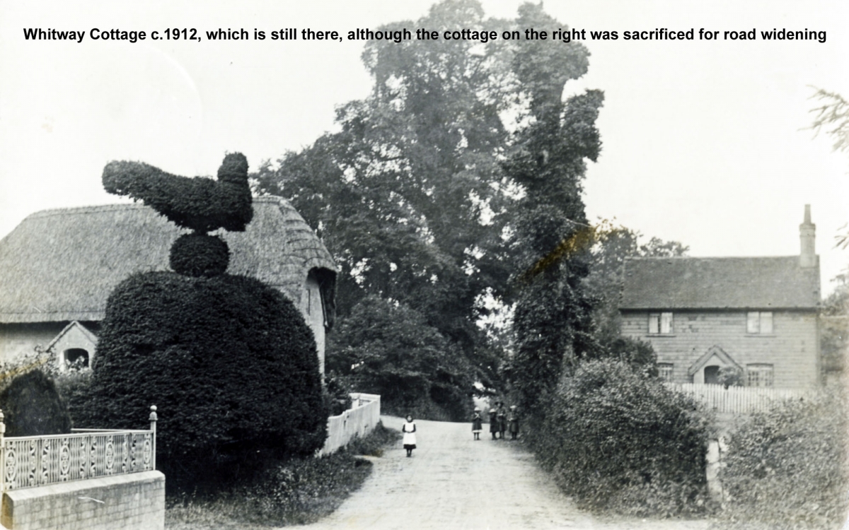 22-Whitway-Cott-c.1912-