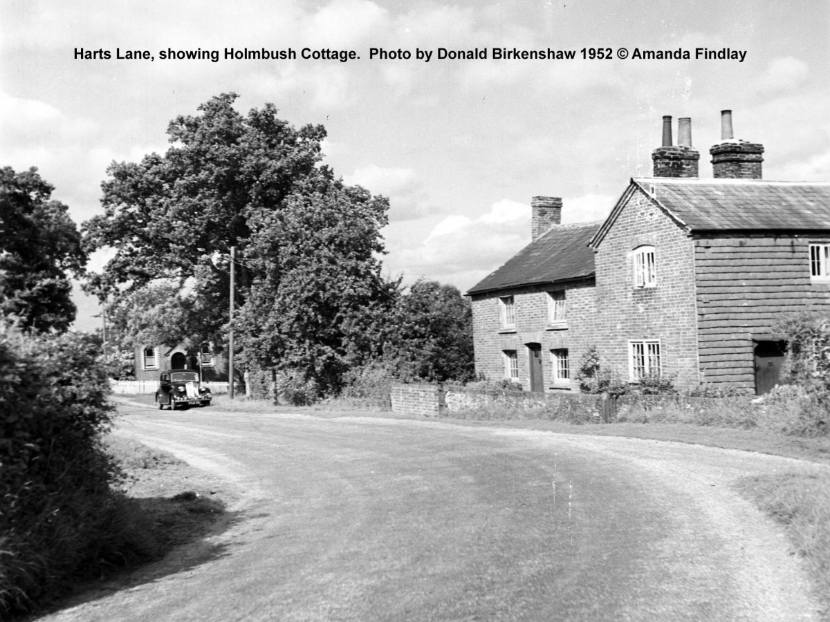 64-Holmbush-Cott-Birk Find
