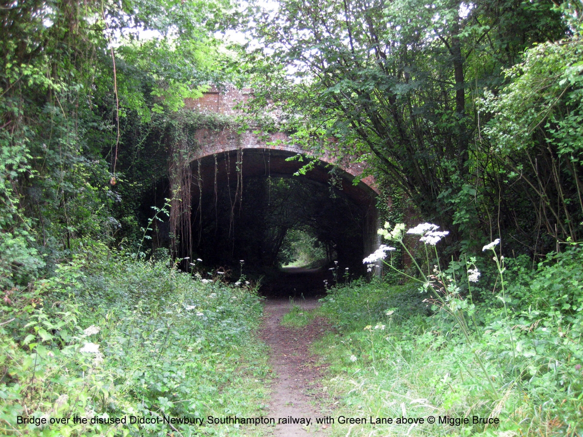 67-Old-railway-bridge-AMB