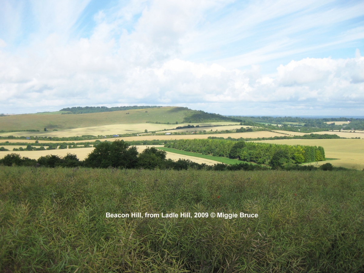 70-Beacon-Hill-from-Ladle-Hill