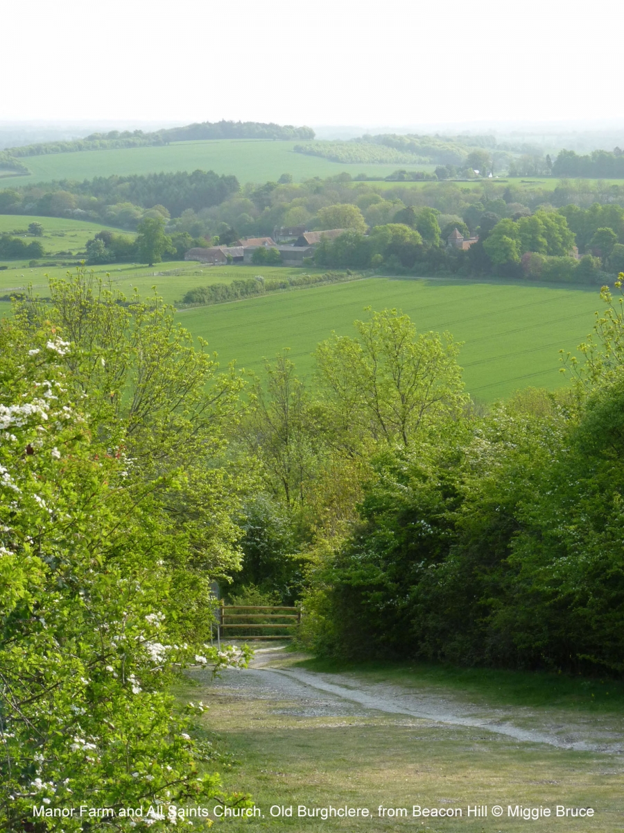 71-Old-Bclere-from-Beacon-Hill-AMB