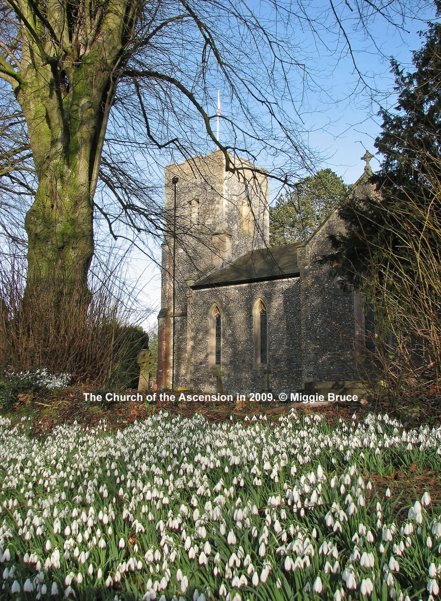 74-Church-with-snowdrops-09.02.20-AMB