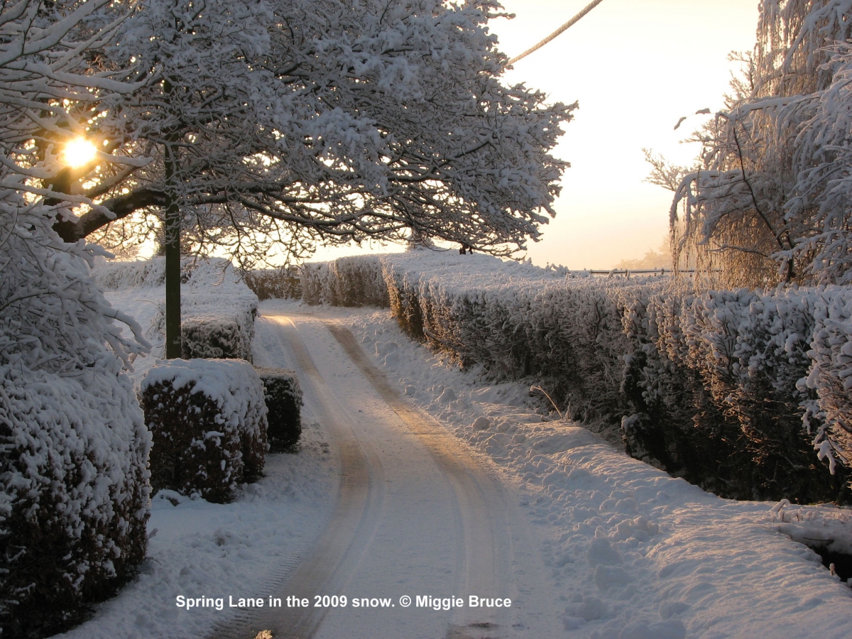 90-Spring-Lane-winter-AMB-2009