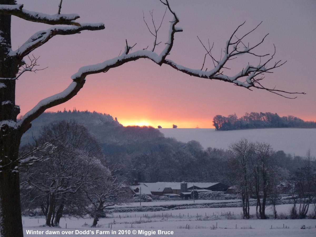 93-Dodds-Farm-winter-AMB